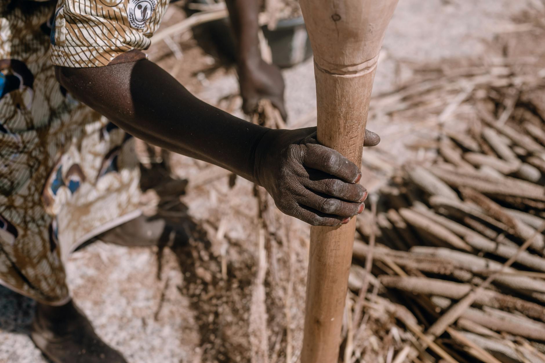Vanille bio Madagascar : la certification AB et son vrai sens